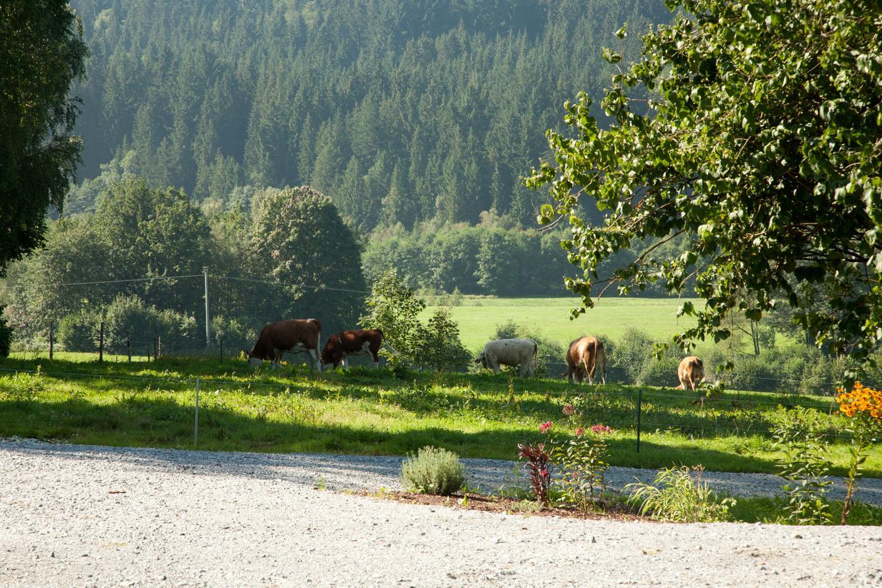 Landhotel Bayerwald Grafling Εξωτερικό φωτογραφία